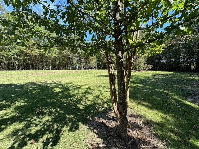 0 Sales Landing Road Camden, TN 38320 - Photo 5 of 24