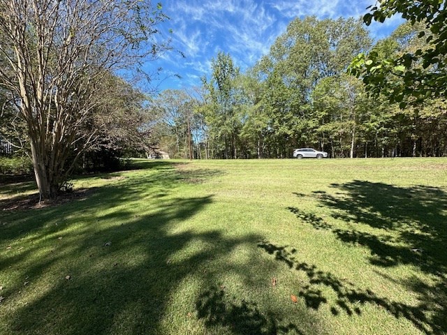 0 Sales Landing Road Camden, TN 38320 - Photo 6 of 24