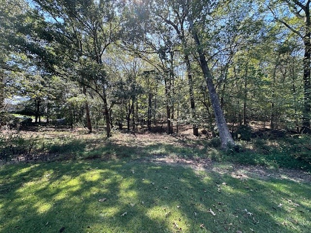 0 Sales Landing Road Camden, TN 38320 - Photo 7 of 24