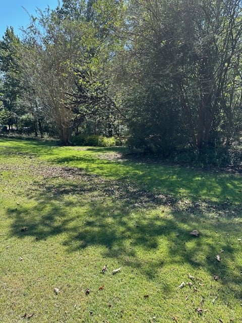 0 Sales Landing Road Camden, TN 38320 - Photo 8 of 24