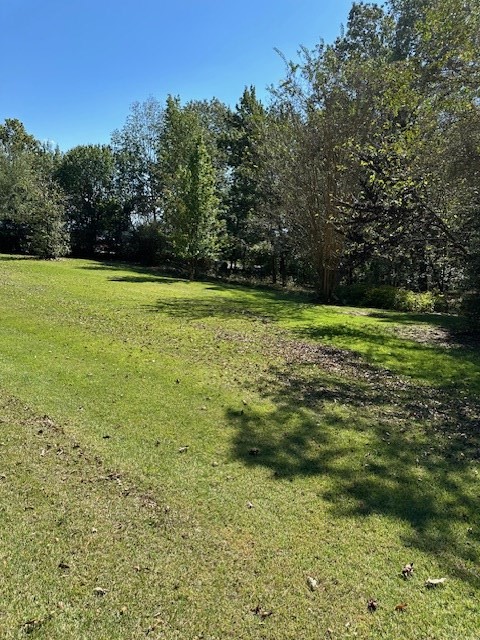 0 Sales Landing Road Camden, TN 38320 - Photo 9 of 24