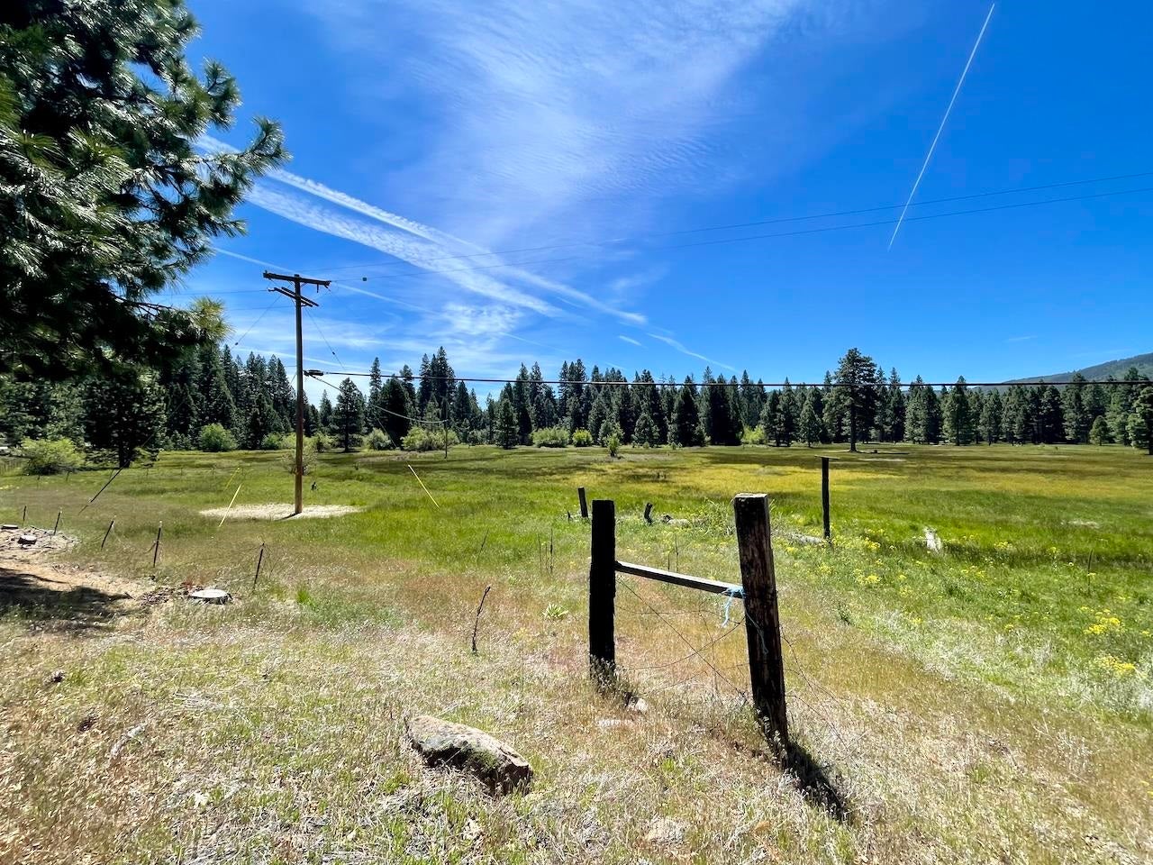 8 Acres Deetz Road Mount Shasta, CA 96067 - Photo 3 of 10 Gallery Image 3
