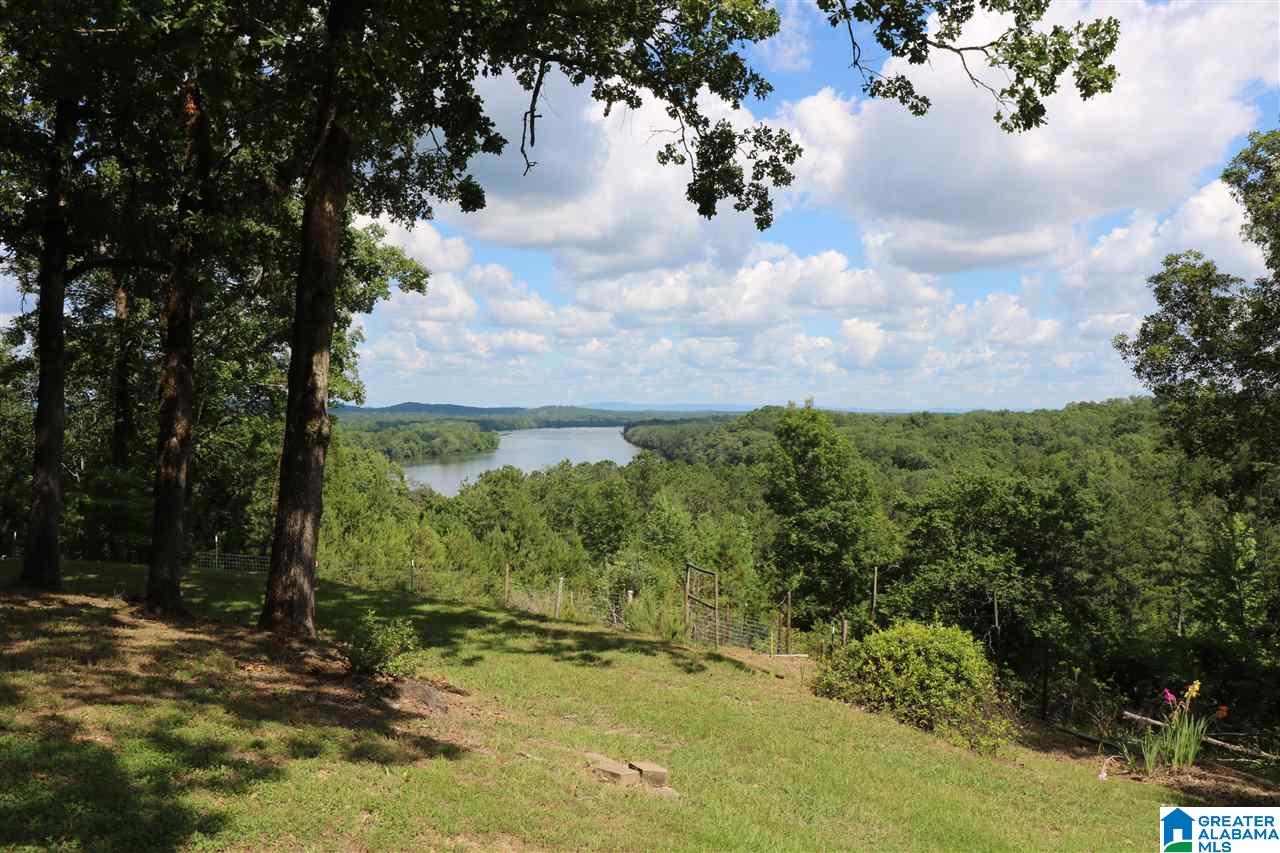 644 Crawfish Lane Ragland, AL 35131 - Photo 2 of 44