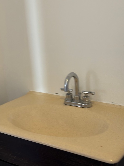 1500 East 73rd Street, Unit 3 Chicago, IL 60619 - Photo 11 of 13 a close up of a sink