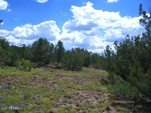 802 East Snowdrift Road Williams, AZ 86046 - Photo 4 of 9 Picture 029