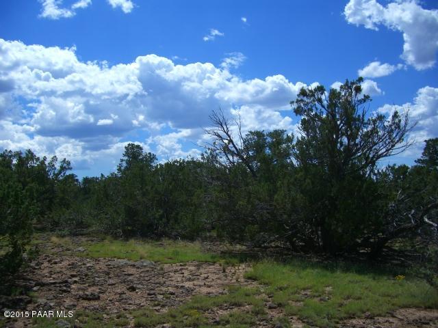 802 East Snowdrift Road Williams, AZ 86046 - Photo 5 of 9 Picture 030