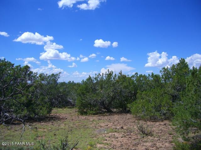 802 East Snowdrift Road Williams, AZ 86046 - Photo 6 of 9 Picture 031