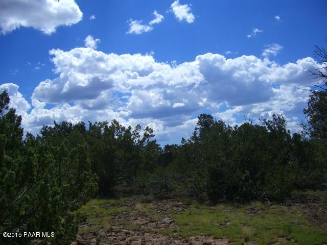 802 East Snowdrift Road Williams, AZ 86046 - Photo 7 of 9 Picture 032