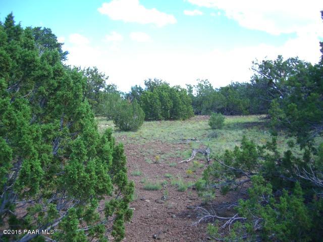 802 East Snowdrift Road Williams, AZ 86046 - Photo 8 of 9 Picture 033