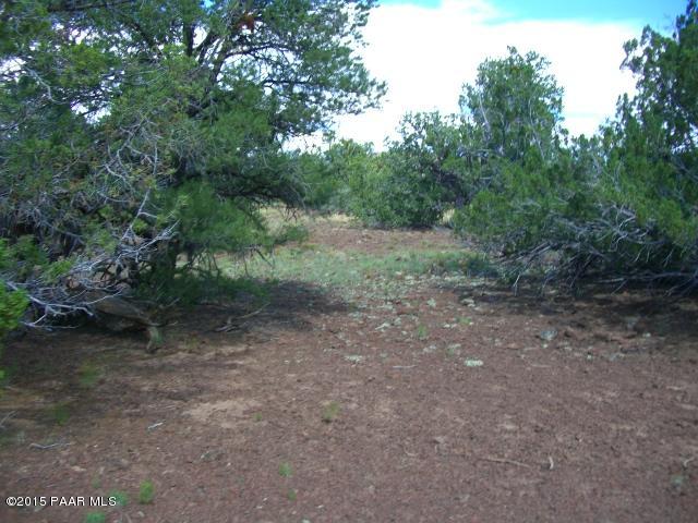 802 East Snowdrift Road Williams, AZ 86046 - Photo 9 of 9 Picture 034