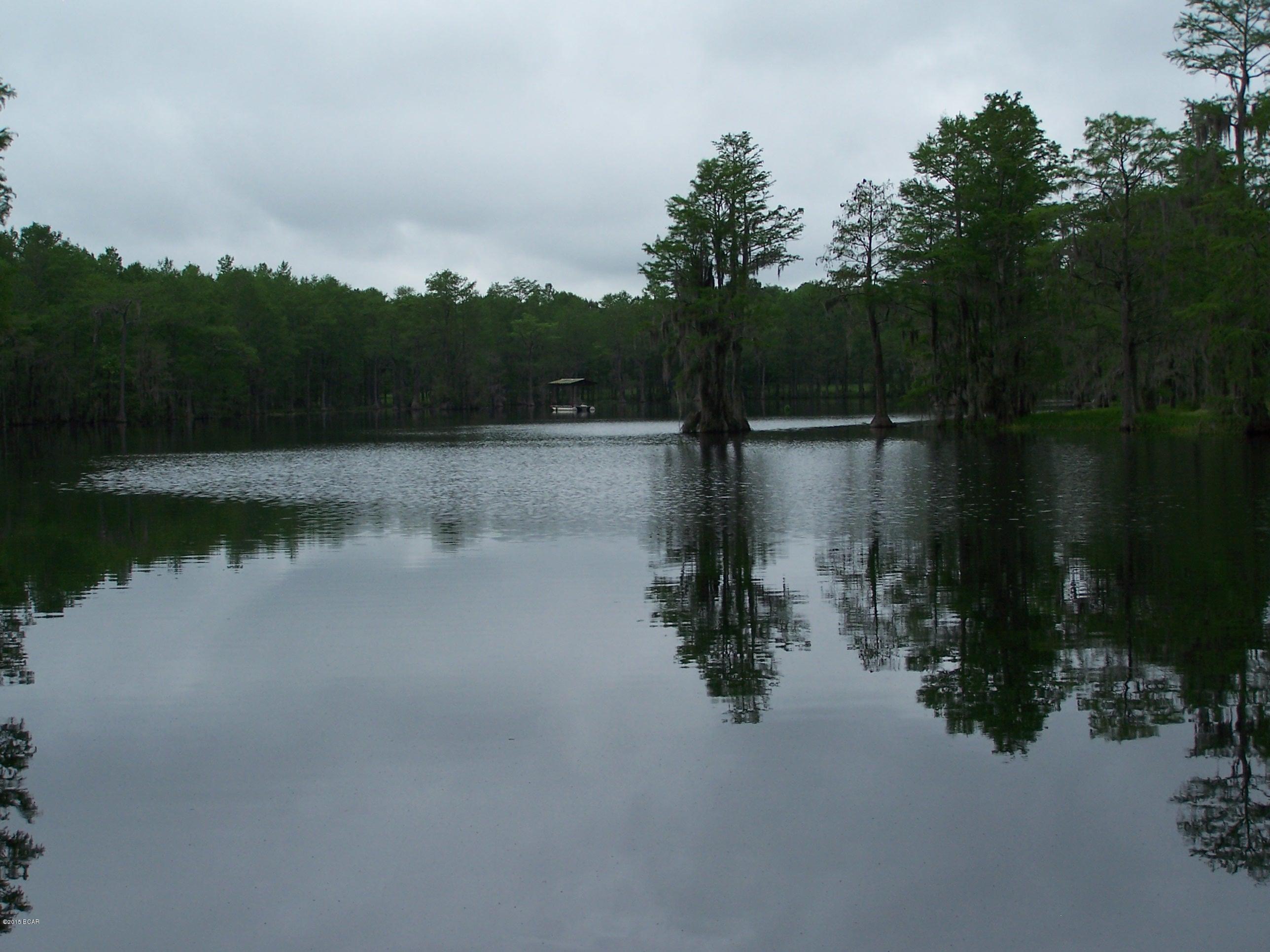 2443 Red Road Westville, FL 32464 - Photo 15 of 21