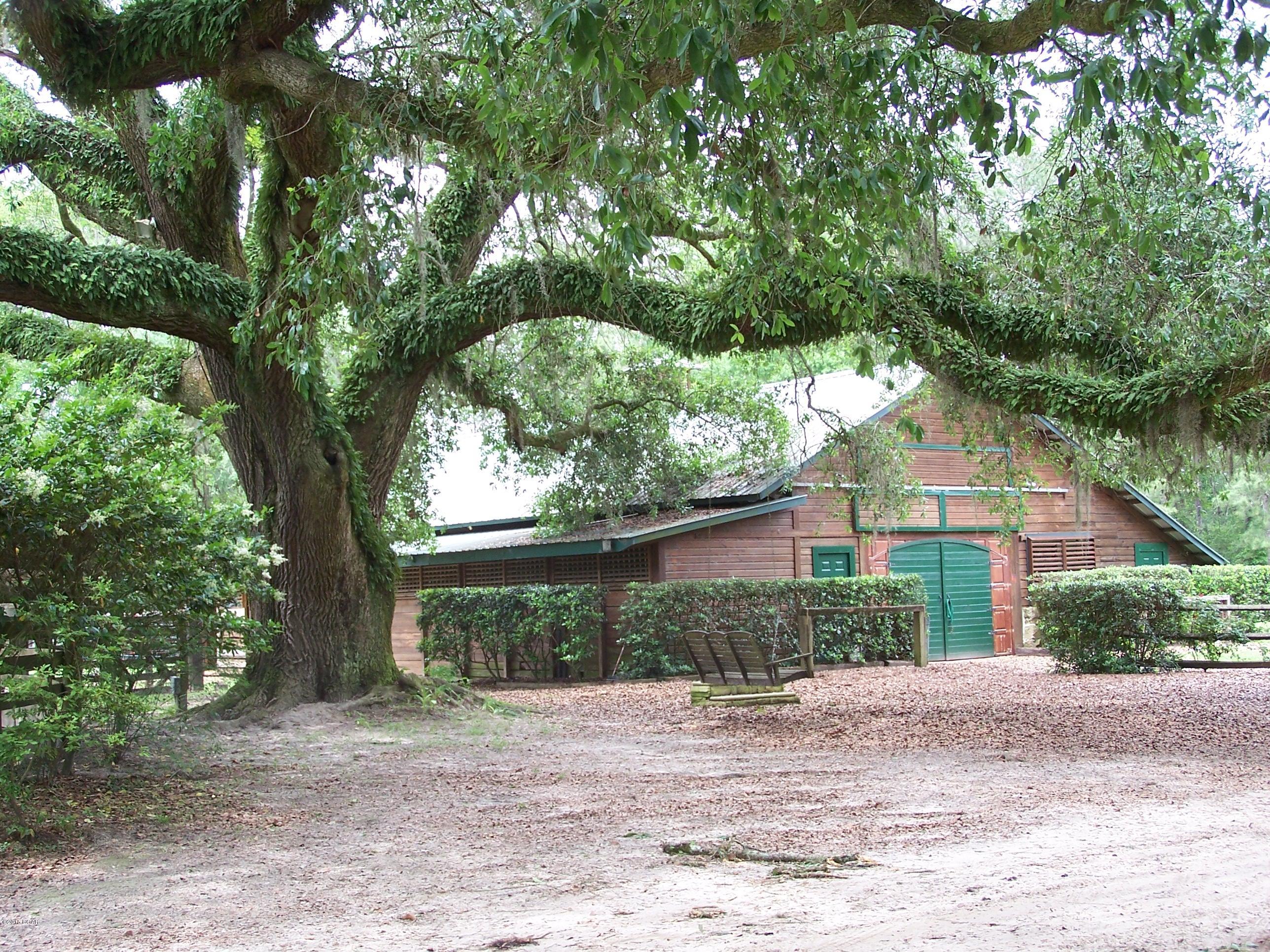 2443 Red Road Westville, FL 32464 - Photo 18 of 21