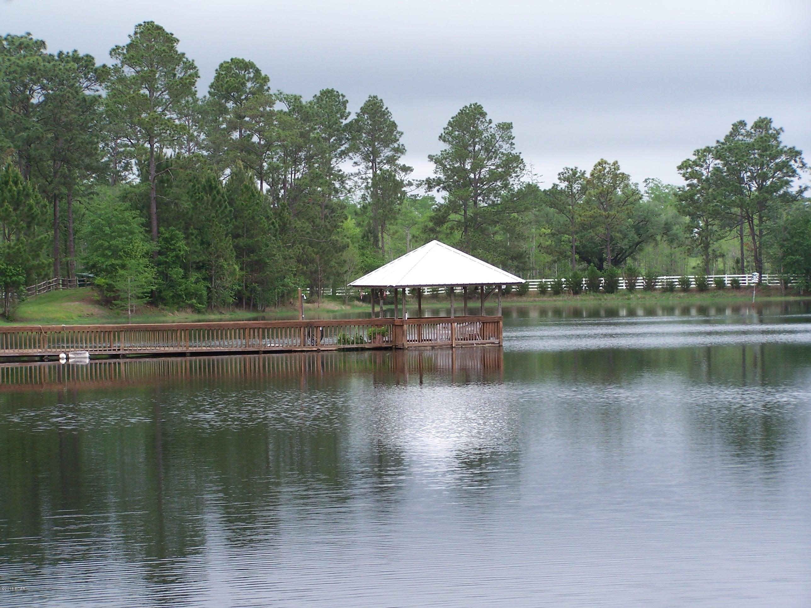 2443 Red Road Westville, FL 32464 - Photo 3 of 21