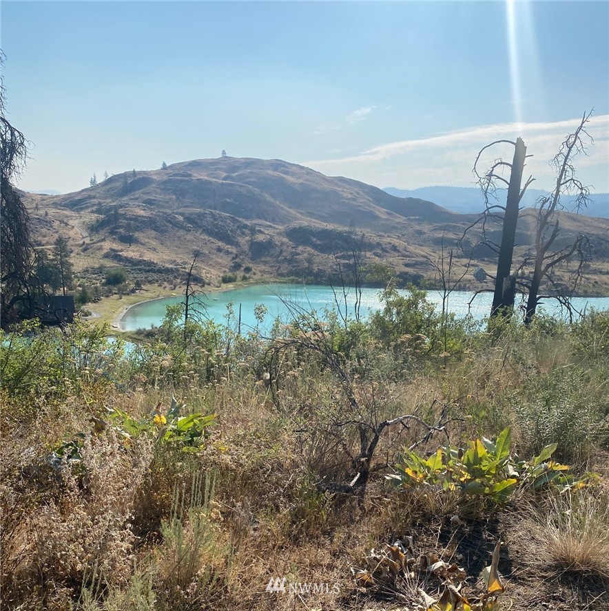 111 Alkali Cutoff Road Riverside, WA 98849 - Photo 8 of 10