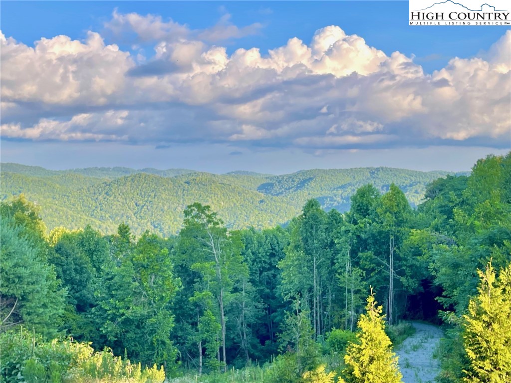 286 Summit View Parkway, Unit S811 Boone, NC 28607 - Photo 38 of 50 Gallery Image 38