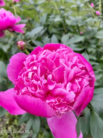 $595,000 | 110 Center Street, Sharon Springs, NY 13459