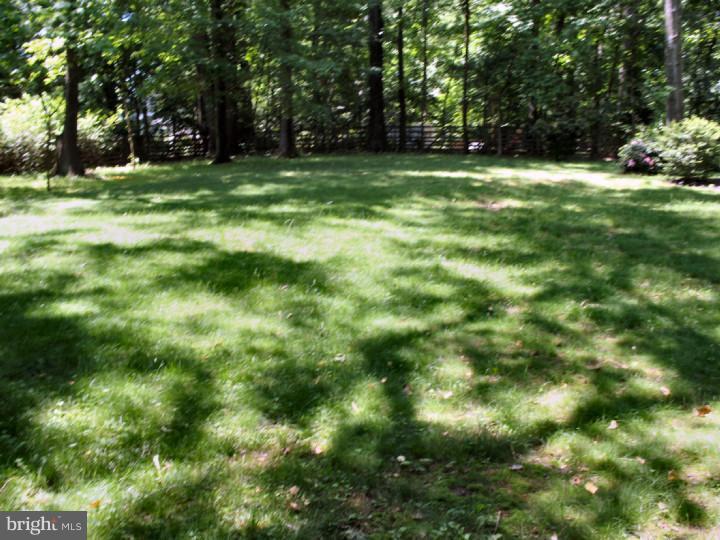 295 Danell Road Wayne, PA 19087 - Photo 19 of 20