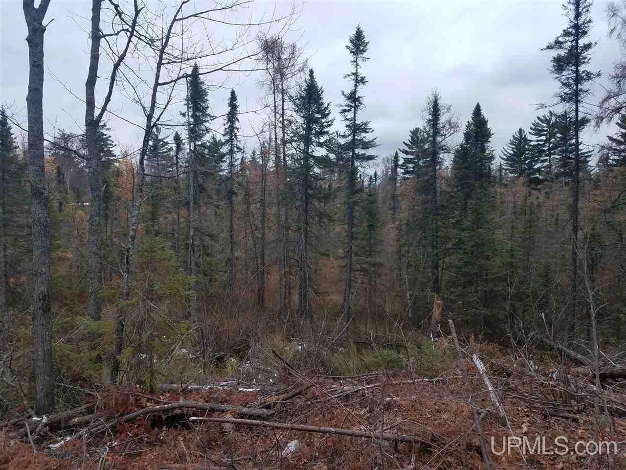 Tbd Tbd Co Road Negaunee, MI 49866 - Photo 1 of 2