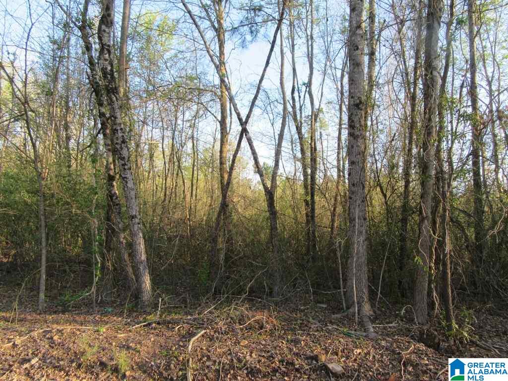 0 Cedar Springs Road, Unit 1 Talladega, AL 35160 - Photo 7 of 8