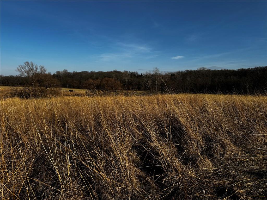 County Road Hopkins, MO 64461 - Photo 11 of 27 Gallery Image 11