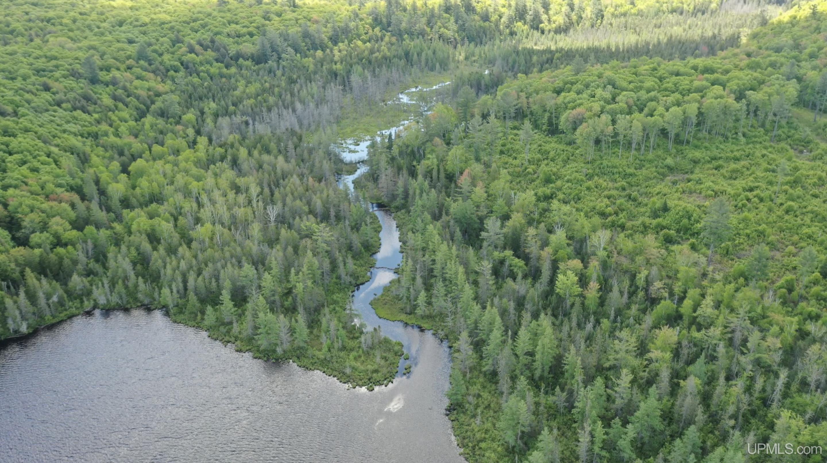 527 Usfs Road Iron River, MI 49935 - Photo 4 of 37
