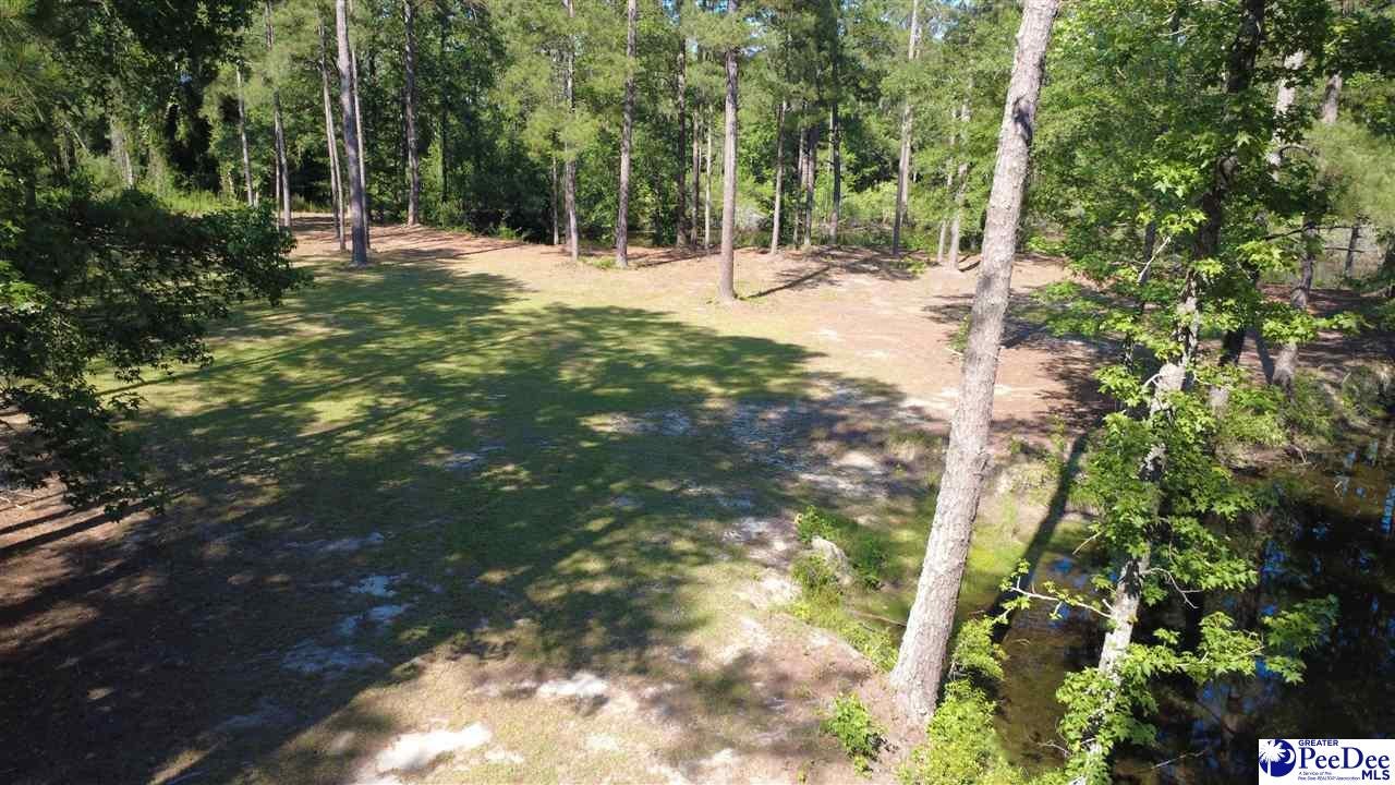 Tbd North Tbd N Bethel Road Scranton, SC 29591 - Photo 12 of 28 Gallery Image 12