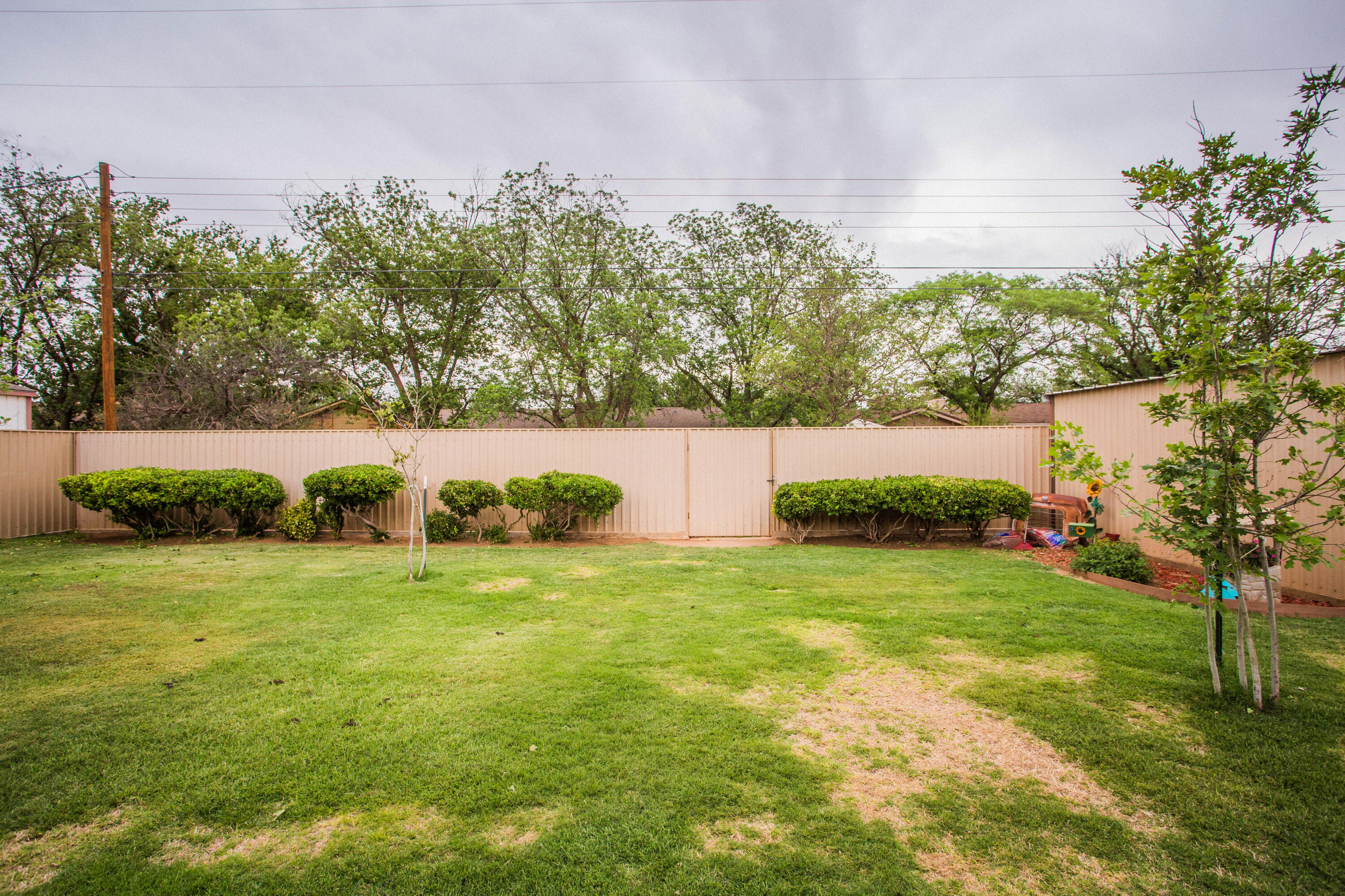 1304 Jefferson Drive Plainview, TX 79072 - Photo 50 of 50 a backyard of a house with lots of green space