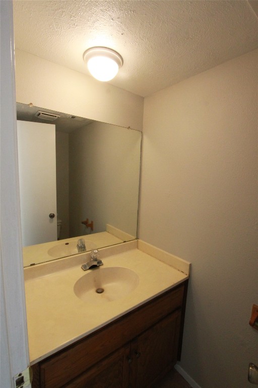 3904 Hudson Bend Road, Unit D Austin, TX 78734 - Photo 16 of 25 Bathroom with vanity and a textured ceiling