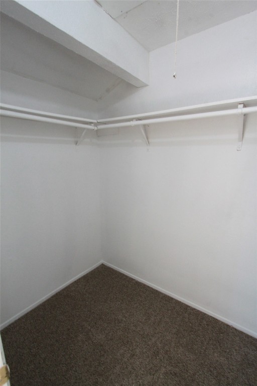 3904 Hudson Bend Road, Unit D Austin, TX 78734 - Photo 19 of 25 Walk in closet with dark colored carpet