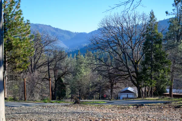 a view of a tree in front of a house
