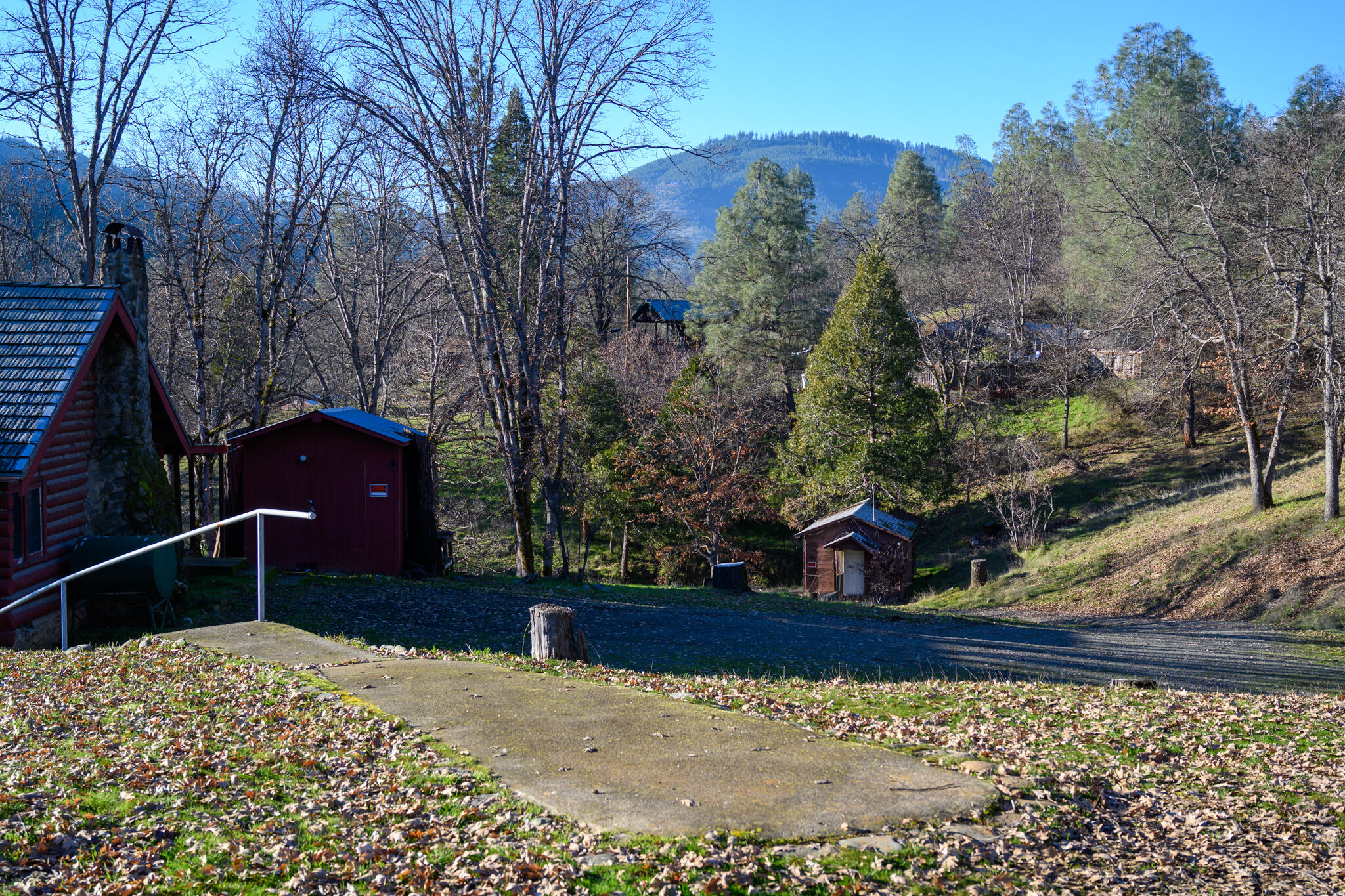 51-75 Hart Road Weaverville, CA 96093 - Photo 3 of 40 View down Driveway
