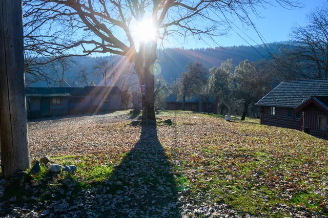 a backyard of a house with lots of green space