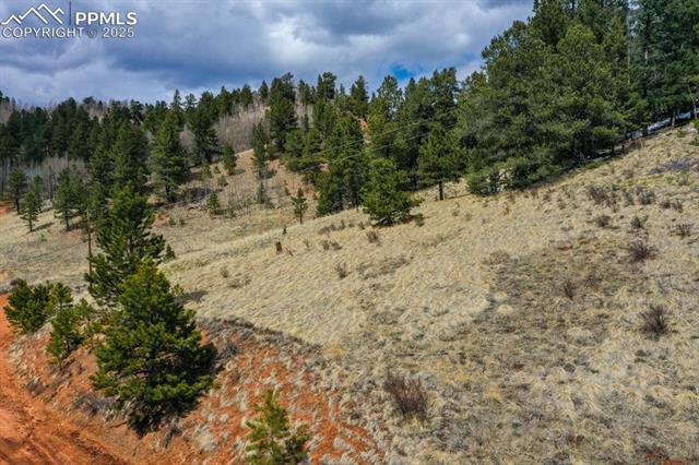 Tbd Valley Road Divide, CO 80814 - Photo 10 of 30 View of landscape