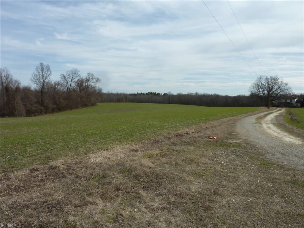 5432 Tom Hill Road Trinity, NC 27370 - Photo 2 of 13