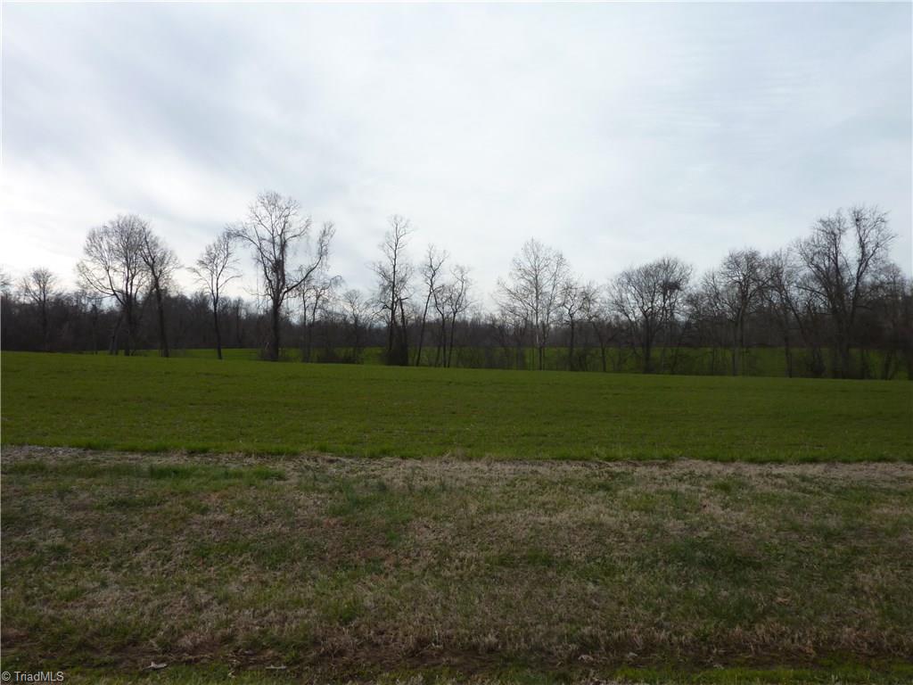 5432 Tom Hill Road Trinity, NC 27370 - Photo 11 of 13