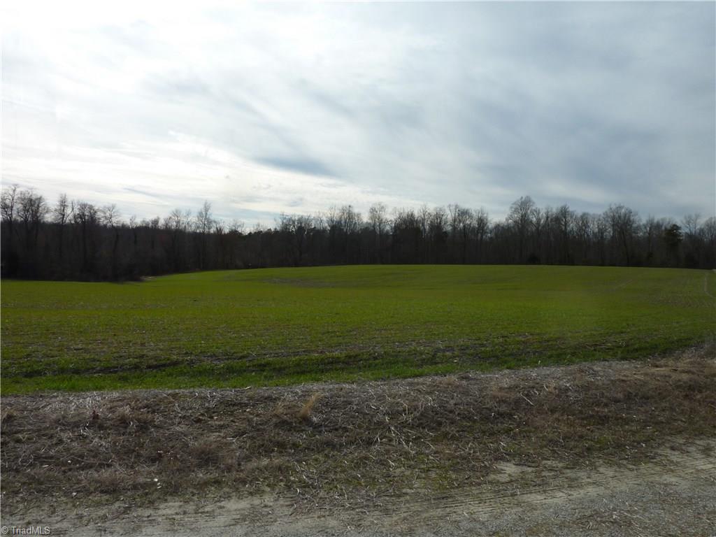 5432 Tom Hill Road Trinity, NC 27370 - Photo 3 of 13