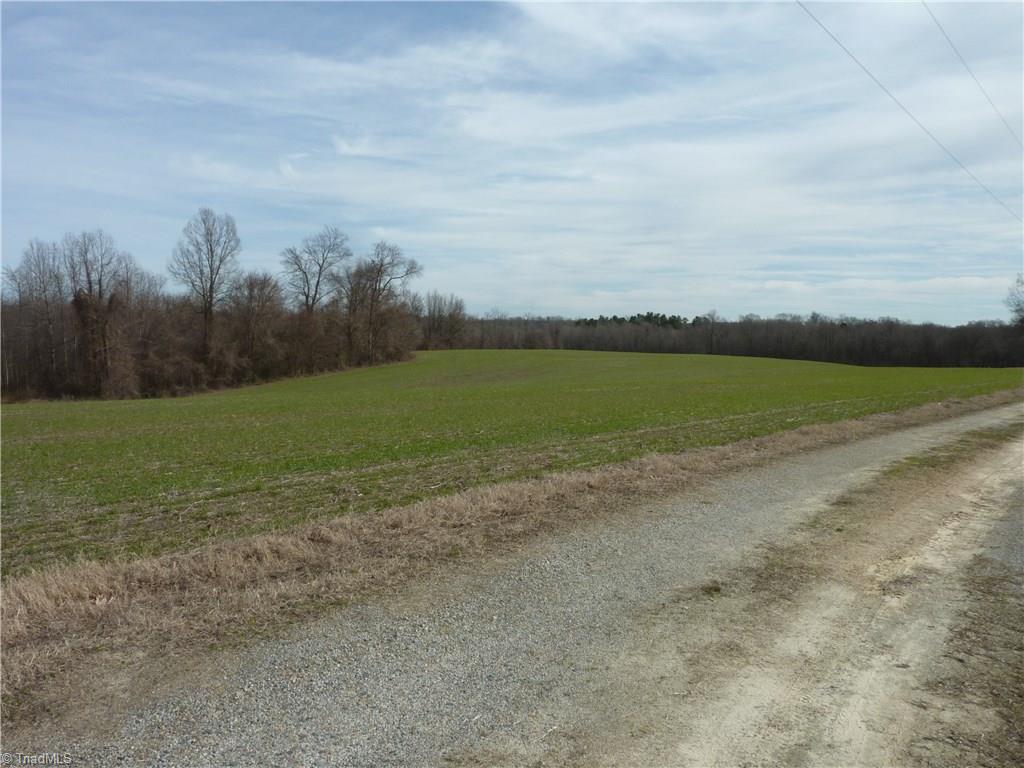 5432 Tom Hill Road Trinity, NC 27370 - Photo 5 of 13