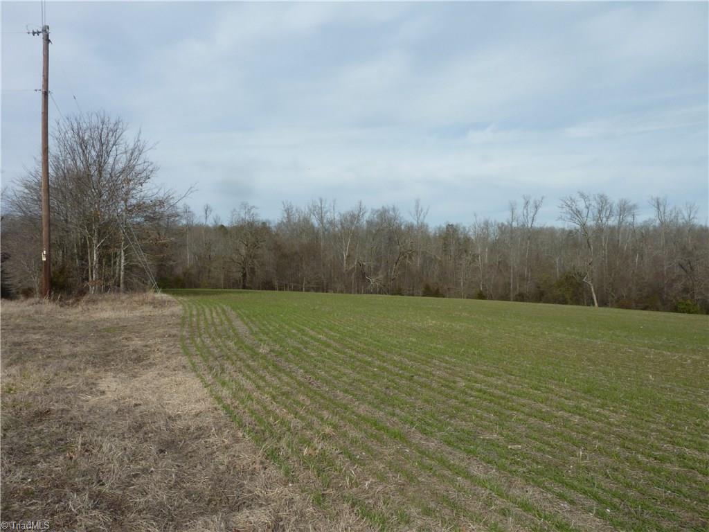5432 Tom Hill Road Trinity, NC 27370 - Photo 6 of 13