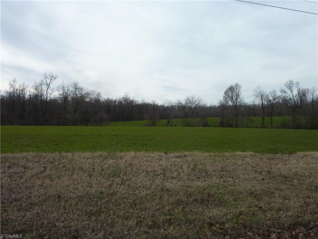 5432 Tom Hill Road Trinity, NC 27370 - Photo 8 of 13