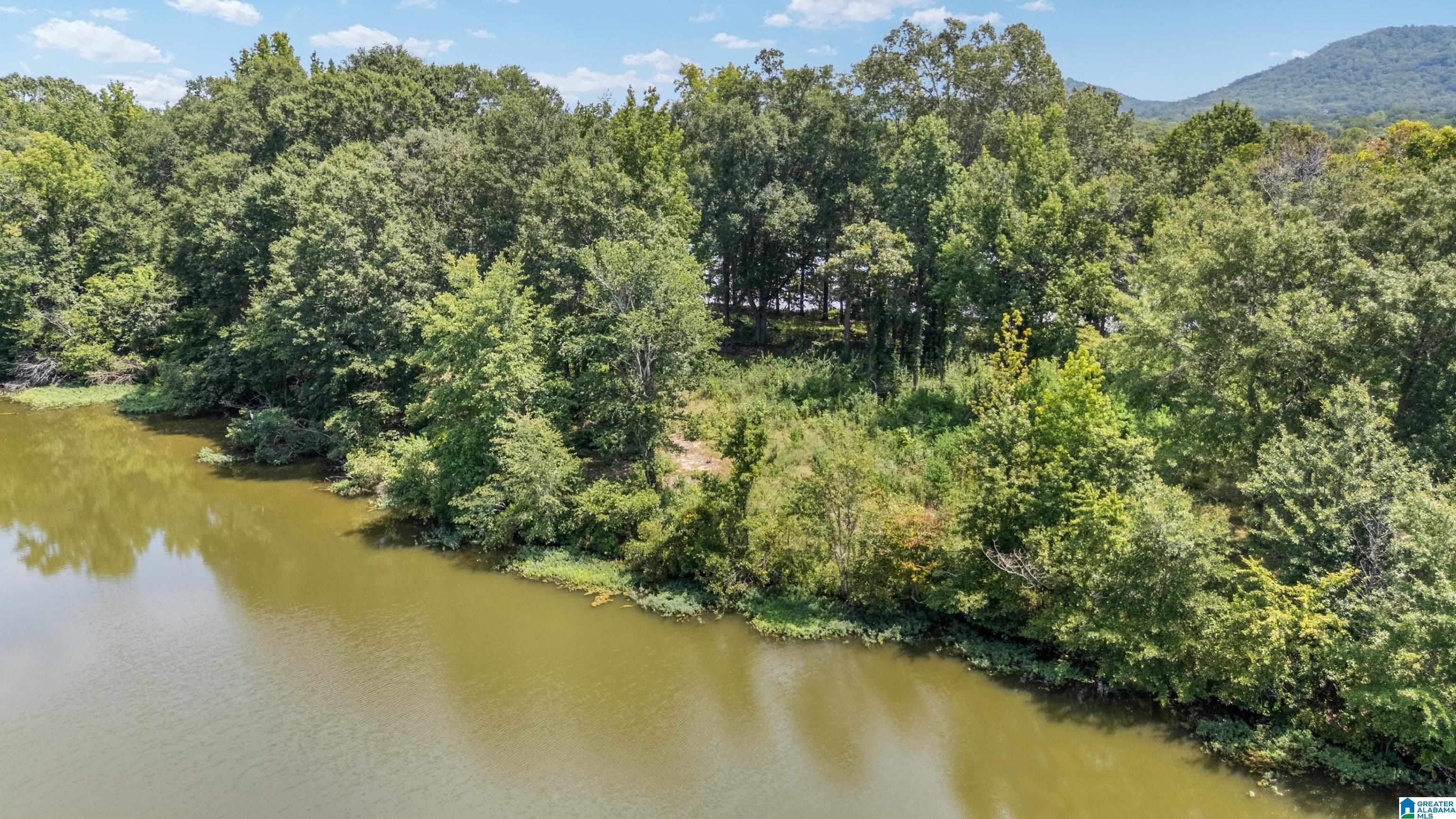 Lot 7 Hebb Road, Unit 7B Wilsonville, AL 35186 - Photo 13 of 22 Gallery Image 13