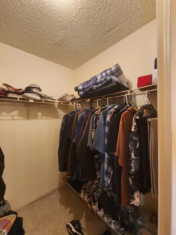 a view of walk in closet with clothes and shoes