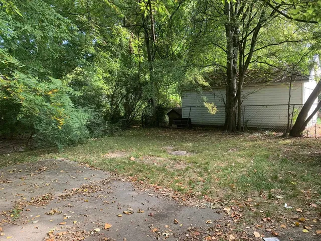 a view of a yard with a tree