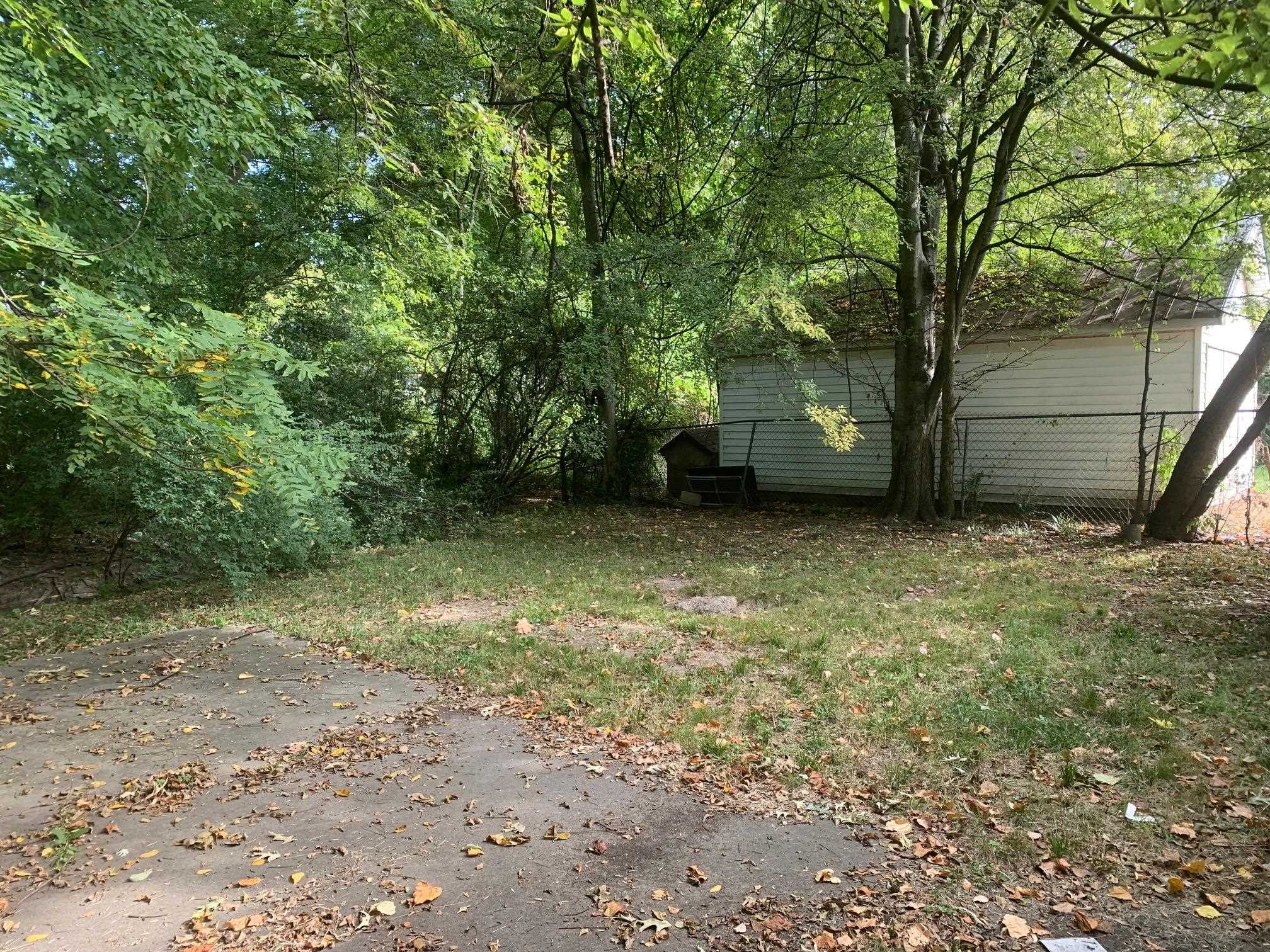 3054 Coleman Avenue Memphis, TN 38112 - Photo 11 of 11 a view of a yard with a tree