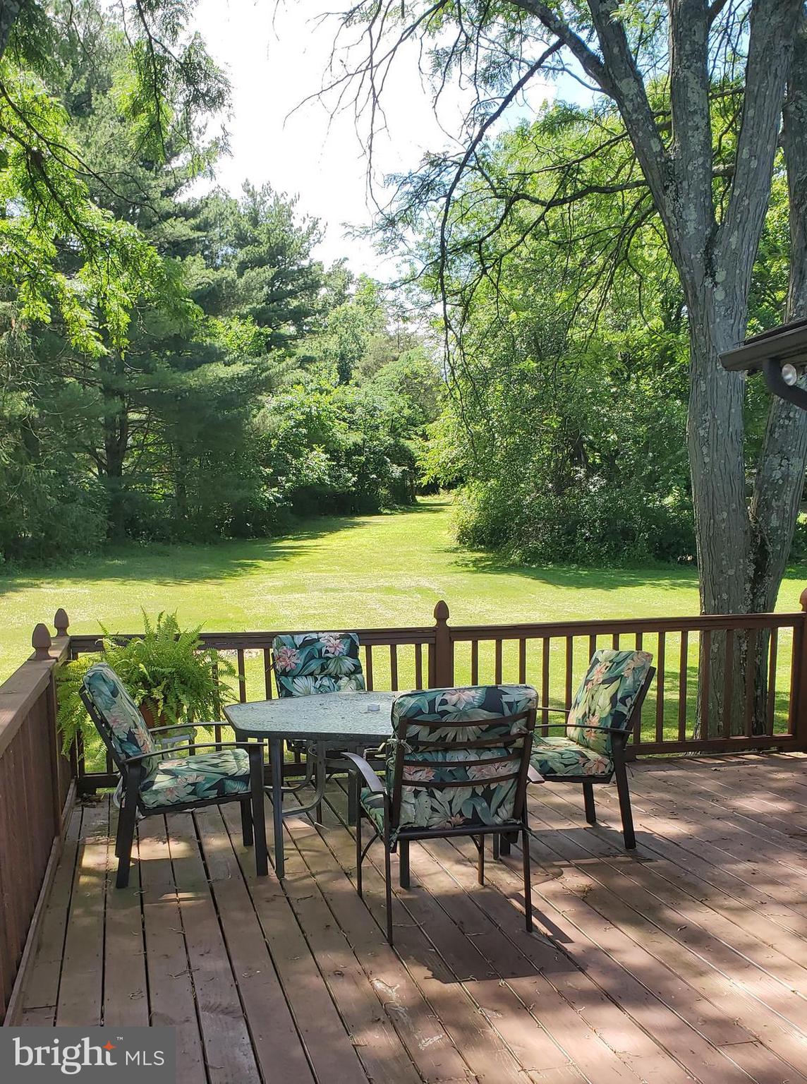 1311 Klinerd Road Pennsburg, PA 18073 - Photo 11 of 12 Backyard