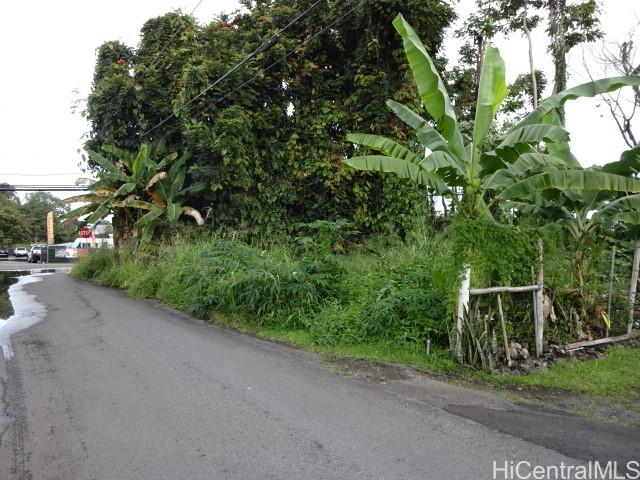 141 Manini Street Hilo, HI 96720 - Photo 4 of 6 a view of a road with plants and trees