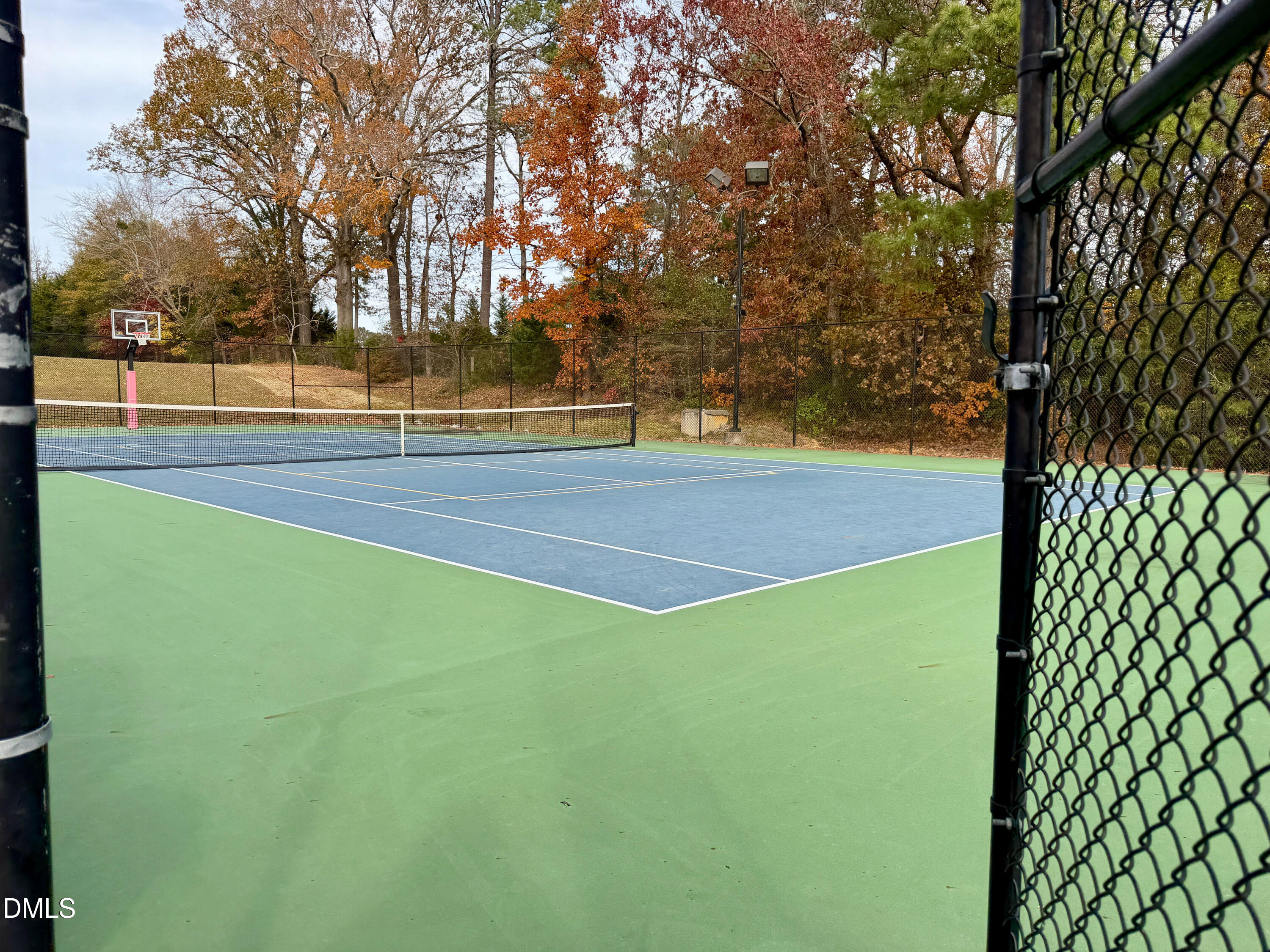 15 Cedar Falls Way Angier, NC 27501 - Photo 53 of 56 a view of yard with trees