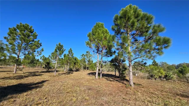 $55,000 | 17718 Northwest 266th Street, Okeechobee, FL 34972