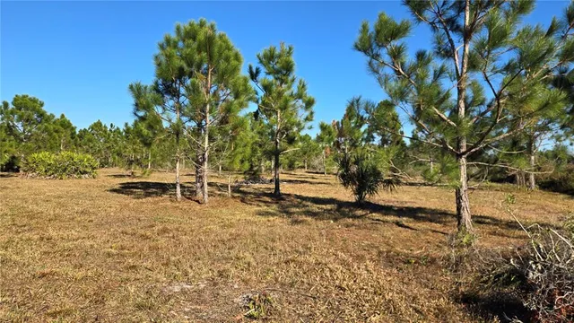 $55,000 | 17718 Northwest 266th Street, Okeechobee, FL 34972