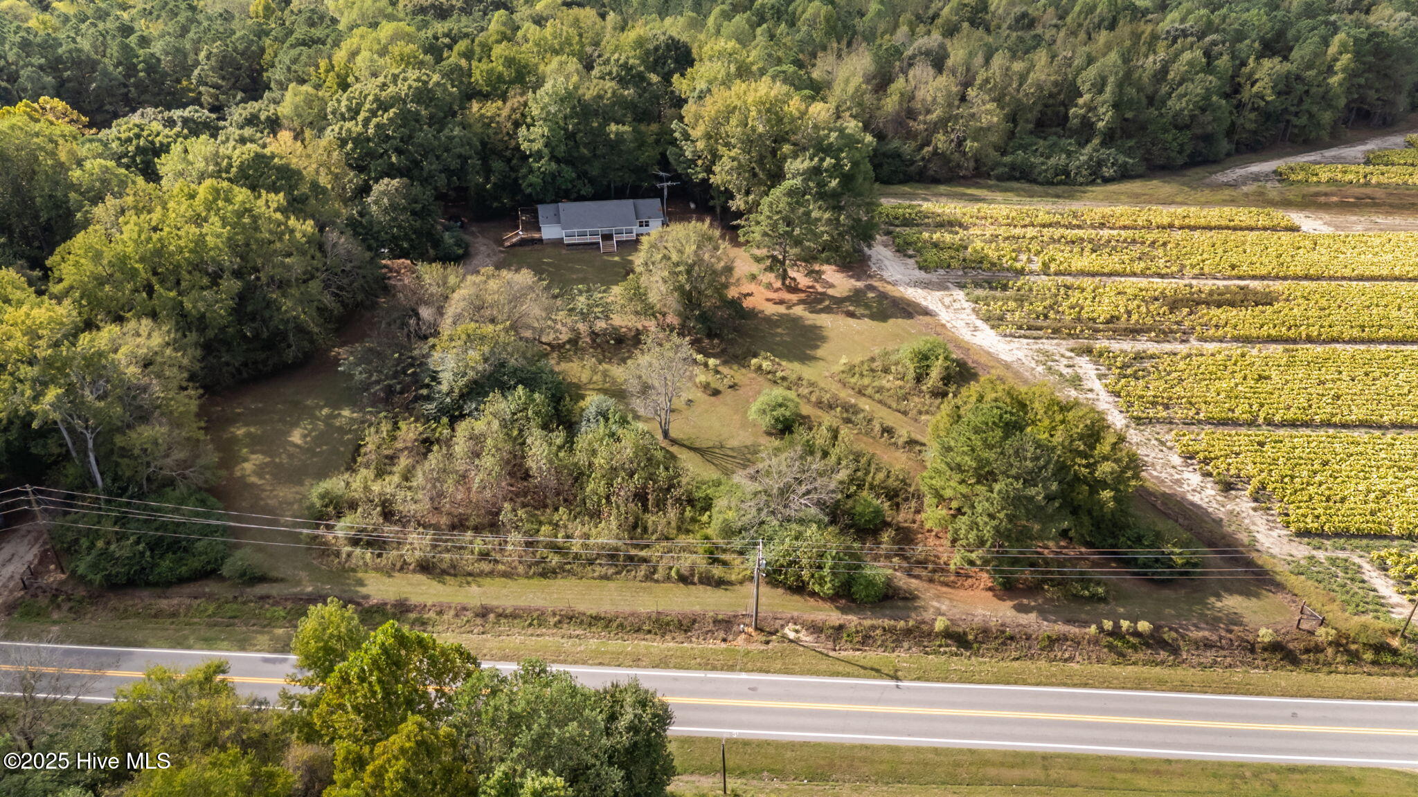 8782 Red Oak Road Whitakers, NC 27891 - Photo 1 of 50 8-web-or-mls-DJI_20251003154219_0494_D