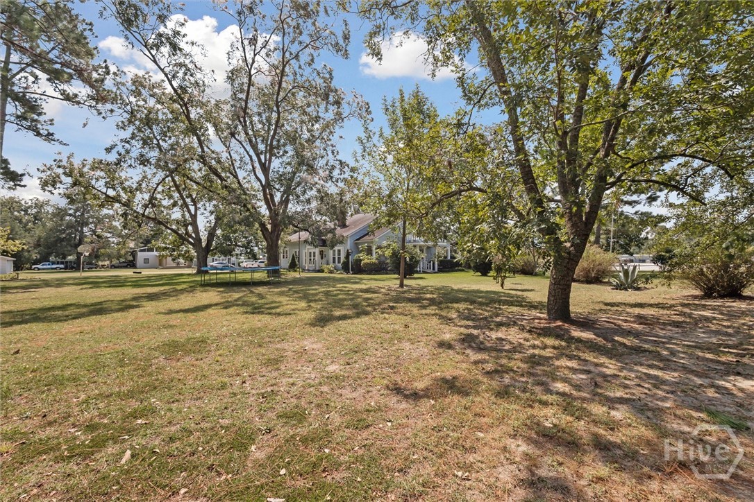 2784 Brooklet-Denmark Road Brooklet, GA 30415 - Photo 49 of 52